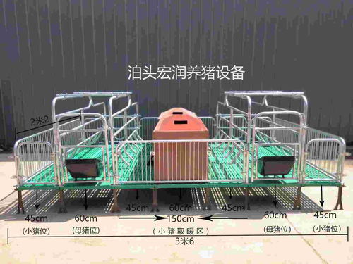 泊頭市宏潤(rùn)養(yǎng)豬設(shè)備廠 專業(yè)打造高效養(yǎng)豬設(shè)備，助力現(xiàn)代養(yǎng)殖發(fā)展