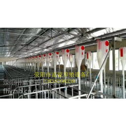 中國養(yǎng)豬設(shè)備供應(yīng)商與價格分析