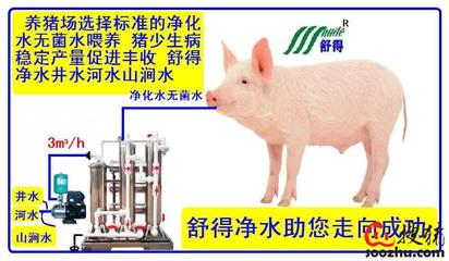 精品綠色環(huán)保水處理設(shè)備助力養(yǎng)豬場(chǎng)高效機(jī)械化養(yǎng)殖