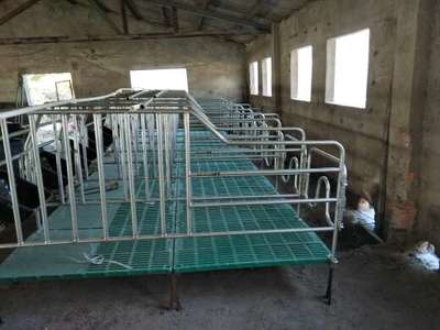 母豬限位欄規(guī)格尺寸詳解 科學(xué)設(shè)計(jì)與應(yīng)用指南