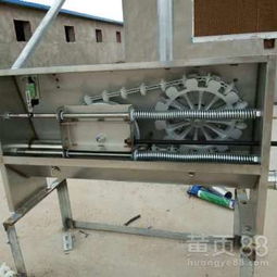 豬場自動化料線 養(yǎng)豬設(shè)備升級，邁向高效精準(zhǔn)飼養(yǎng)新時(shí)代