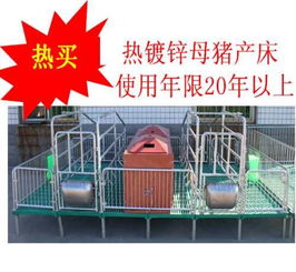 歐牧養(yǎng)豬設(shè)備 探析雙體母豬產(chǎn)床優(yōu)劣與市場報(bào)價(jià)誤區(qū)