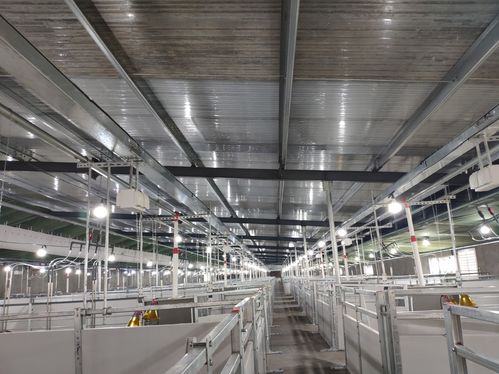 養(yǎng)豬規(guī)模化大勢所趨,規(guī)模化豬場需要哪些養(yǎng)豬設(shè)備 欄位系統(tǒng)篇