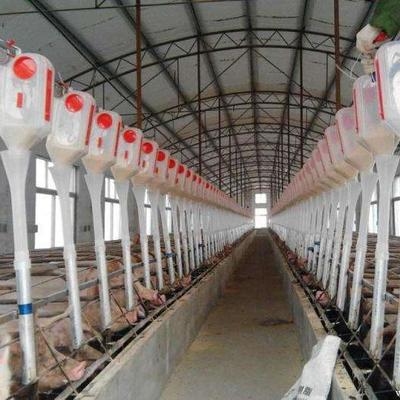 牧幫農牧 專業養殖設備供應商，助力現代化豬場高效運營